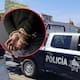 La FGR detuvo a ocho personas por secuestro agravado y tortura en Xalapa, Veracruz, tras una investigación por participación de policías estatales