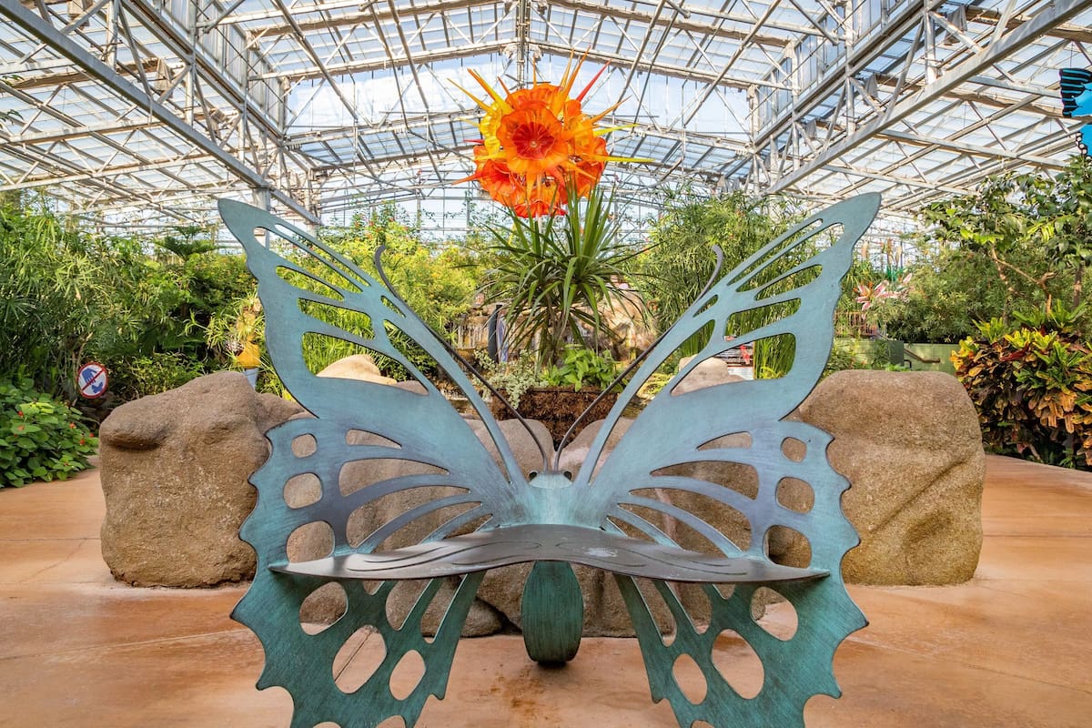 Butterfly Wonderland en Scottsdale: el jardín de mariposas más grande de Estados Unidos