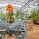 Butterfly Wonderland en Scottsdale: el jardín de mariposas más grande de Estados Unidos
