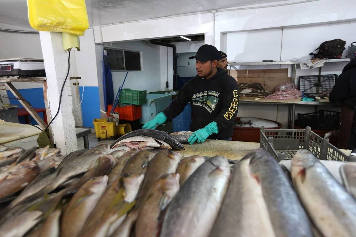 Supervisan tiendas de mariscos en BC