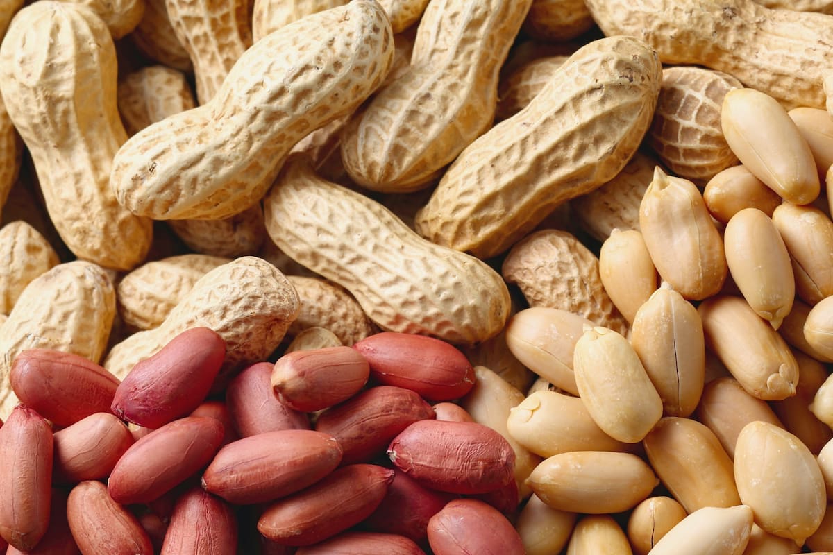 Maní: un aliado para reducir el colesterol y proteger el corazón