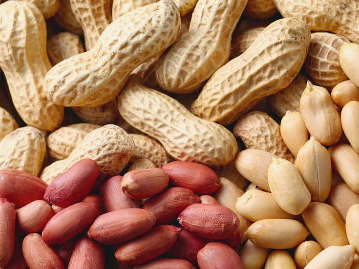 Maní: un aliado para reducir el colesterol y proteger el corazón