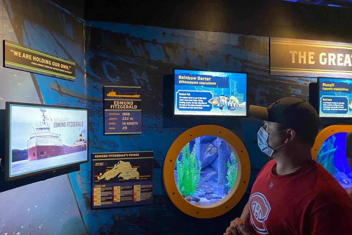 Videos y fotos de cómo inició la "nueva normalidad" en el acuario Ripley's de Canadá