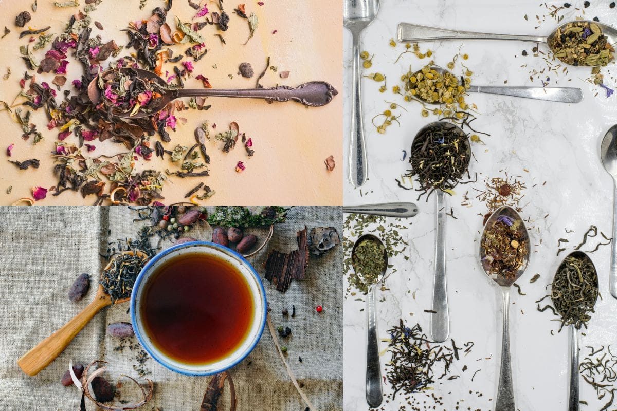 Guía definitiva de tés: Para qué sirve cada uno y cuándo tomarlos