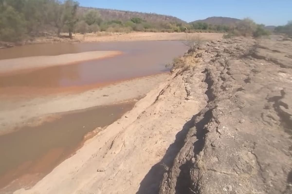 Subsisten yaquis pese padecer una fuerte sequía