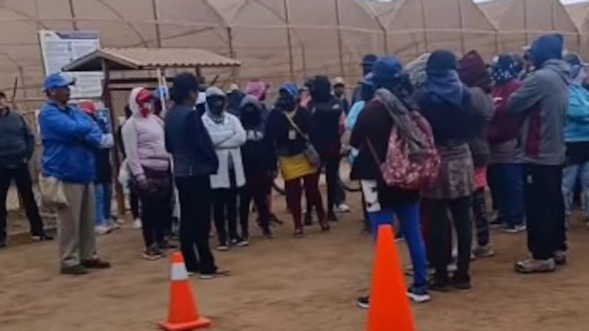 Jornaleros hacen paro en empresa de San Quintín por falta de utilidades