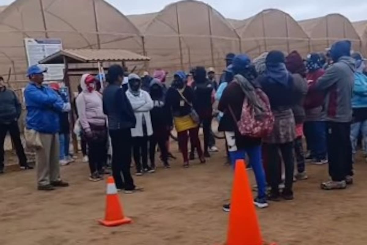 Jornaleros hacen paro en empresa de San Quintín por falta de utilidades