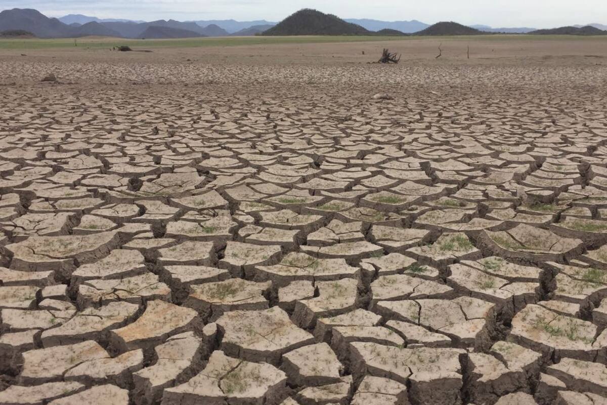Hay 69 municipios de Sonora que experimentan algún tipo de sequía