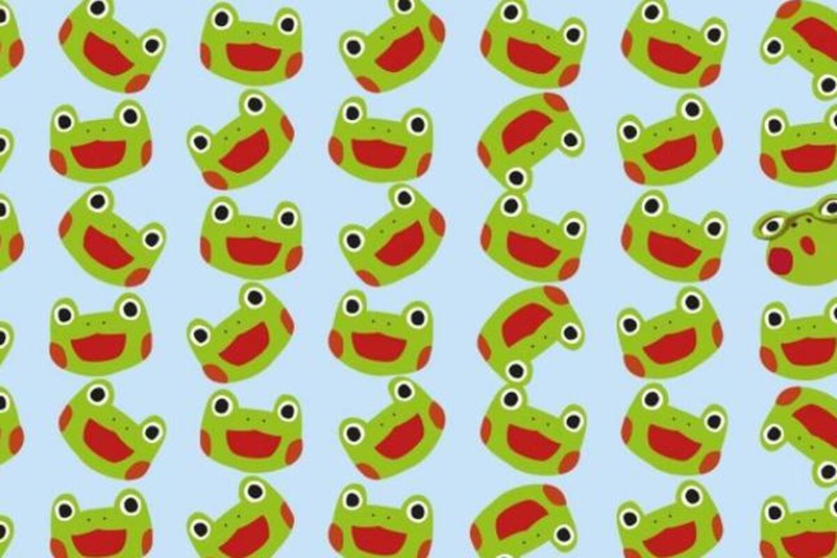 Reto visual: Encuentra la rana con lentes