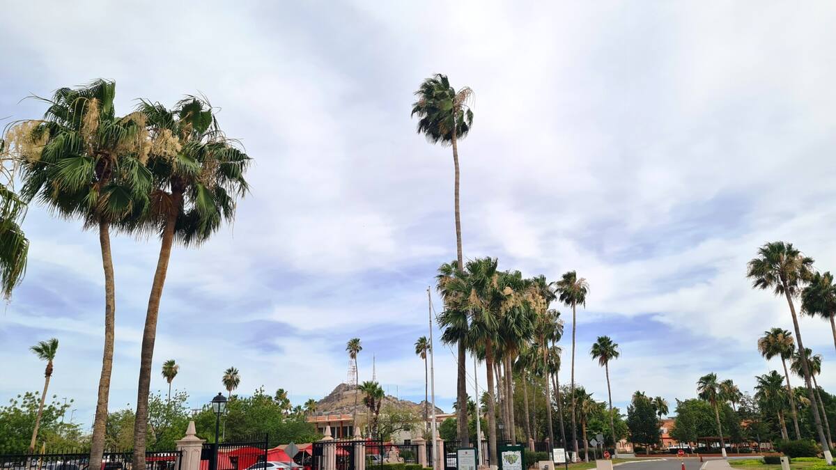 Hay pronóstico de vientos superiores a los 30 kilómetros por hora. Foto: Archivo GH