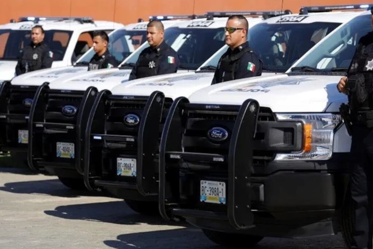 Buscan adquirir armamento para elementos de la DSPM