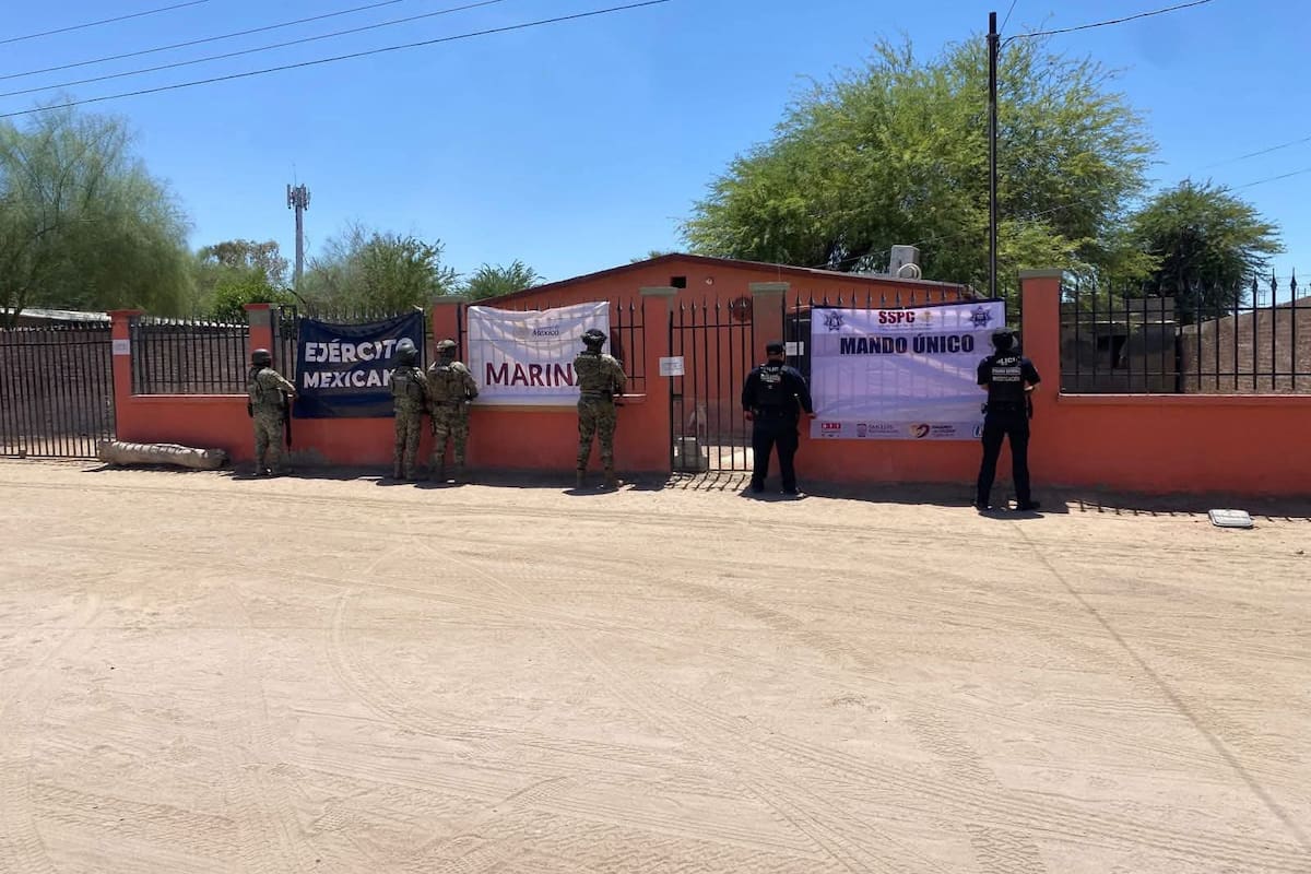 Vecinos piden ayuda para perro abandonado tras cateo en domicilio