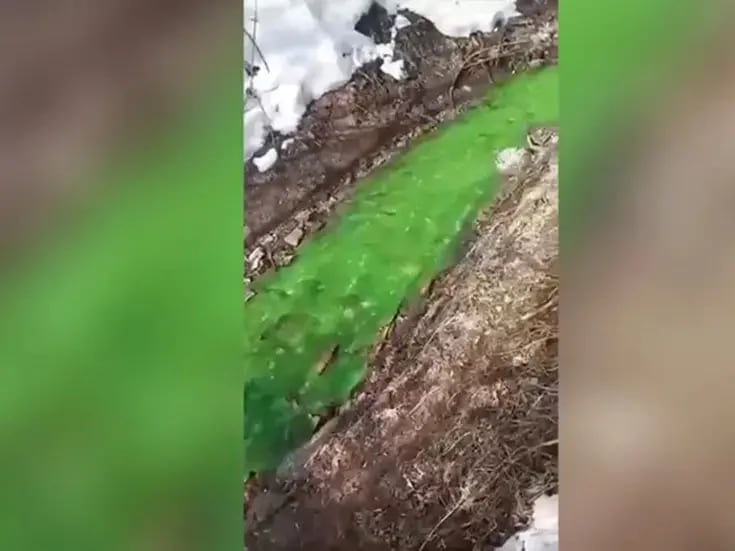 Reportan río que cambió de color a verde brillante en Rusia