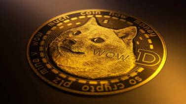 Dogcoin: Qué se sabe de la moneda virtual cuyo valor ha repuntado en los últimos días