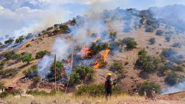 Avanzan en el control de incendio forestal en Nogales: Protección Civil