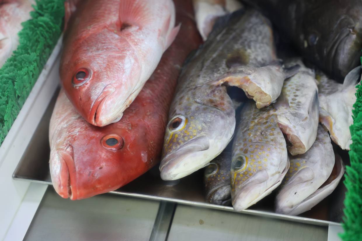 Julián Ortega

Cazón, camarón y mariscos preparados son los productos del mar más solicitados durante la cuaresma, los precios se mantuvieron respecto al año pasado según comerciantes de pescadería.