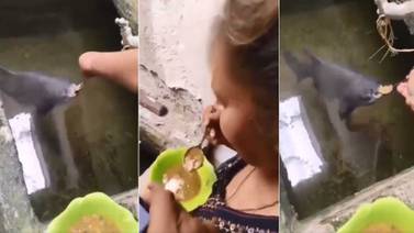 VIDEO: Mujer alimenta a pescado con sopa y arroz utilizando una cuchara