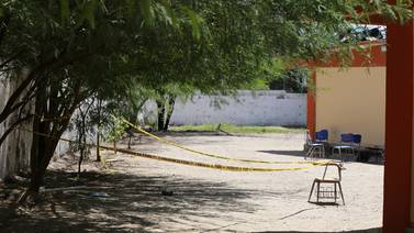Abejas atacan en secundaria de Hermosillo pican a 50 y 4 van al hospital:  "Los estudiantes corrían en estampida para resguardarse", director