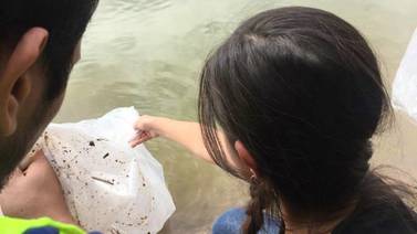 VIDEO: Liberan crías de tilapia en la laguna de La Sauceda