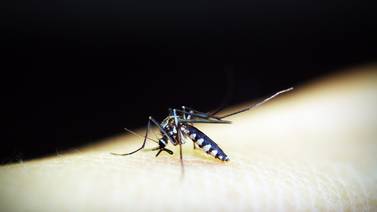 Descartan brote de dengue en el Estado