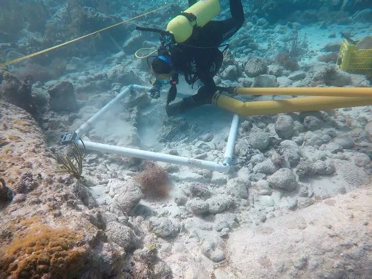 Arqueóloga analizará patrimonio cultural subacuático de BC