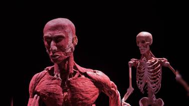 Algunos datos fascinantes y "aterradores" del cuerpo humano