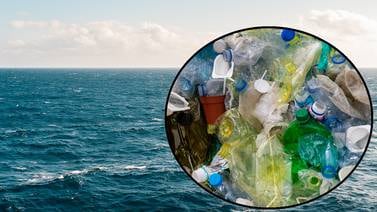 ¿Qué sucede cuando tiras plástico al mar?