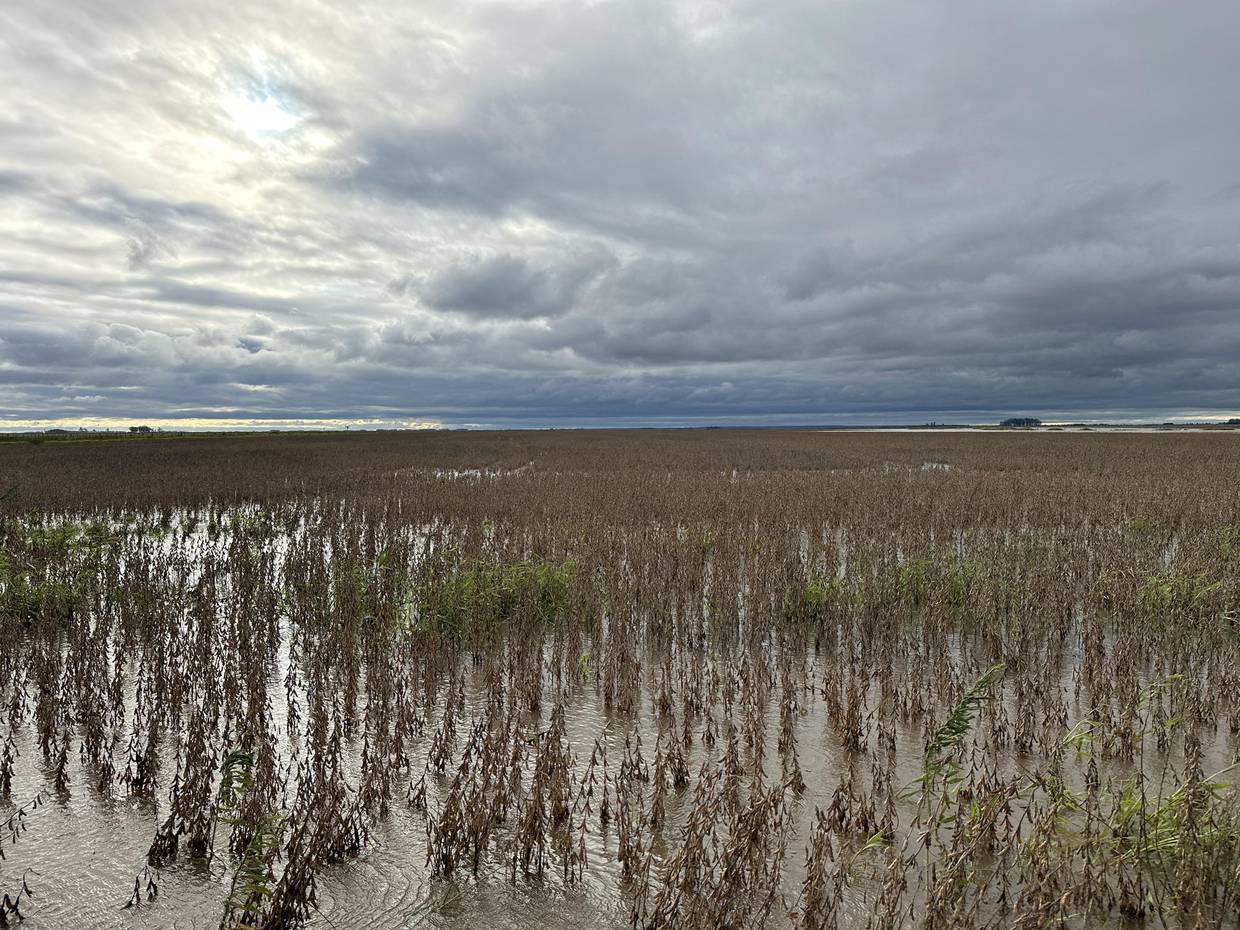 Fotografía cedida que muestra una inundación en un campo de soja, en la provincia de Treinta y Tres, Uruguay l FOTO EFE