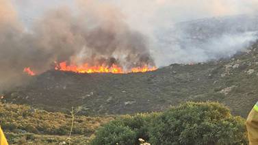 Controlan en un 65% incendio forestal de Valle de las Palmas