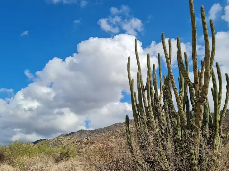 No habrá inyección a nubes para propiciar lluvias en Sonora: Sagarhpa