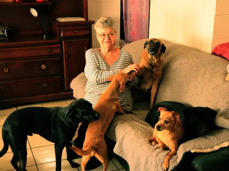Claudine busca hogar para sus 8 perritos para poder regresar a su natal Francia