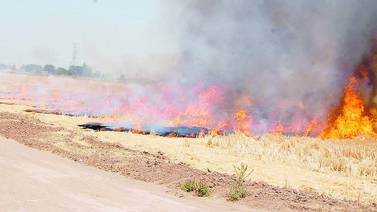 Pese a incremento en sanciones, quema de gavilla no cesa en el Valle del Yaqui