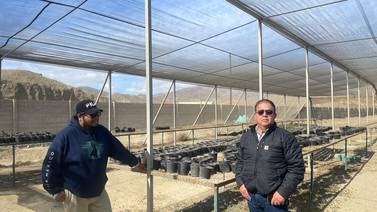 Sader BC impulsa proyecto de invernadero en Isla de Cedros