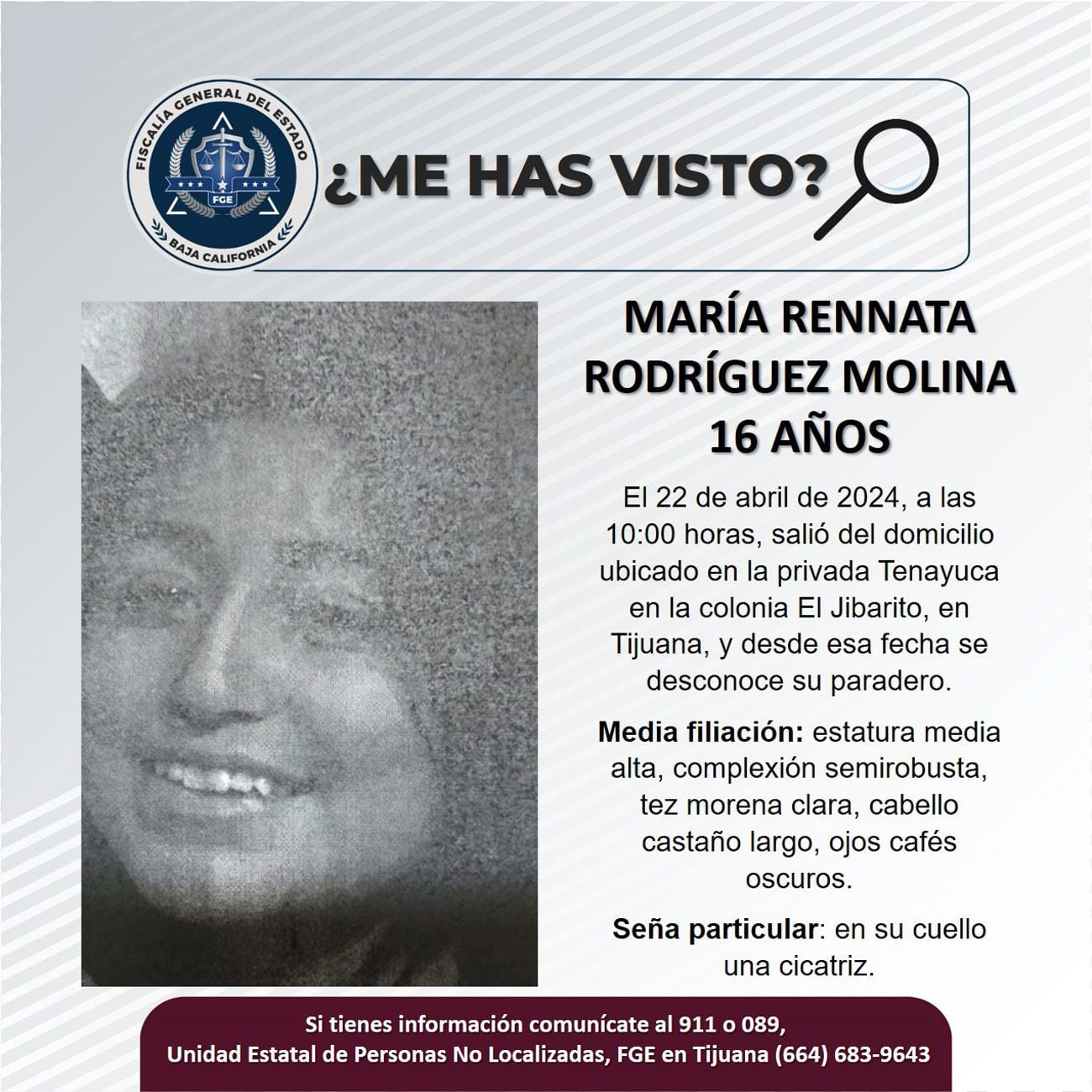 Pesquisa de María Rennata Rodríguez Molina,