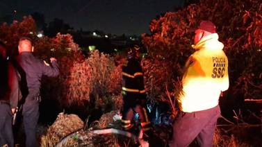 Bomberos de la CDMX sofocan incendio en bosque de Chapultepec