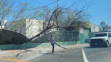 Mexicali Clima: Fuertes vientos generan daños este sábado