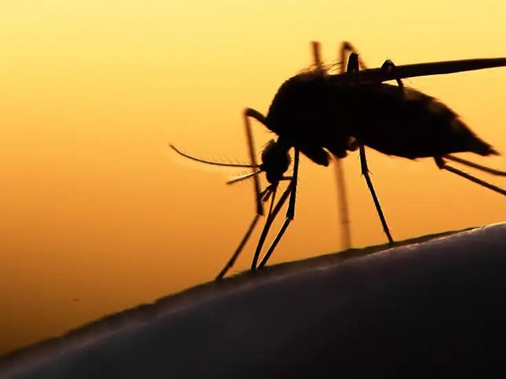 Coahuila confirma el primer caso de Malaria en migrante venezolana